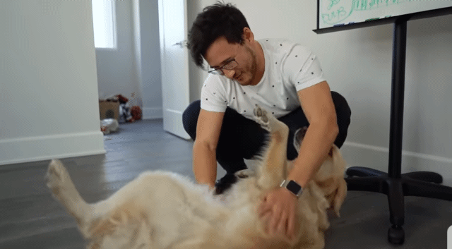 lettodaybeareasontosmile:  Floofy Baby