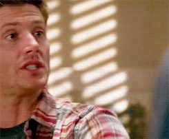 deansdamnation:  darkwingsandbrighteyes:  Dean is the best brother, mother, father…you