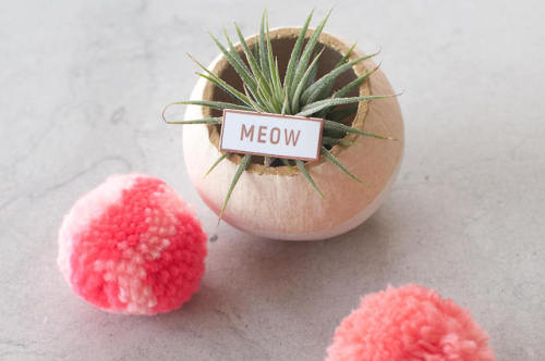 etsyfindoftheday