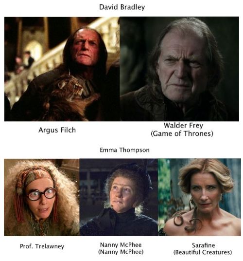 raindropstumble:  peanutsareforpussies:  scoffsyrup-deactivated20150608: Harry Potter cast members staring in other movie/tv roles  seriouslyfor John Cleese you put down the pink panther 2why    French Taunter (Monty Python and the Holy Grail) 