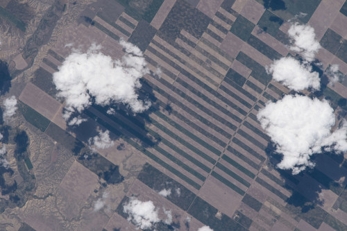 Space station photograph of Montana farmland by day.Photo credit: NASA