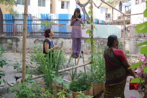 &ldquo;Take back the city with A Pop-Up Garden! A collaborative effort between Nicola Antaki, SN