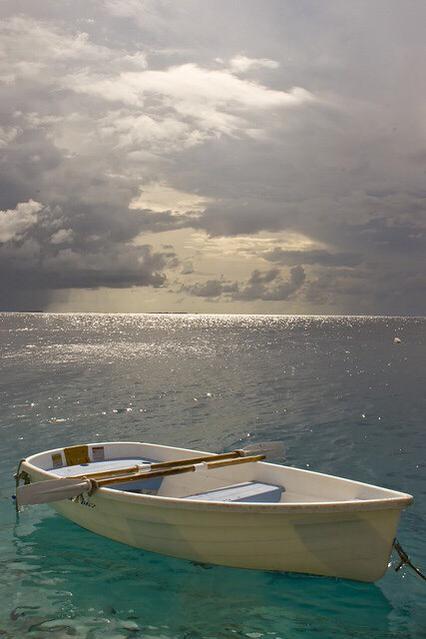 Solitude &hellip; For some it&rsquo;s a time to reflect and dig into deeper