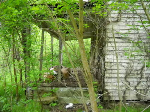 granny-witch: abandoned