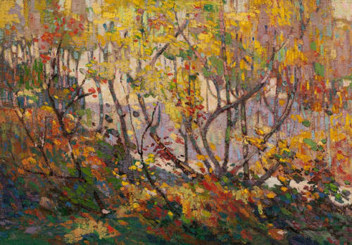 Opulent October  -   Tom Thomson, 1915-16.Canadian,1877-1917Oil on canvas, 54.0 x 77.3 cm.