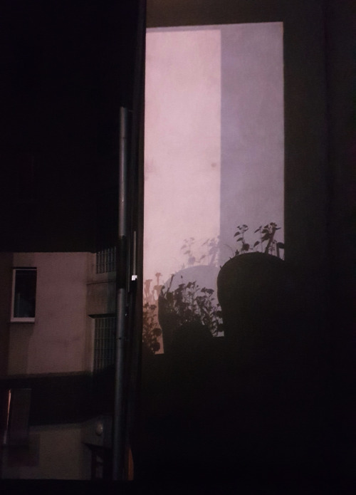 Shadows From Upstairs ... (view At My Old Apartment)