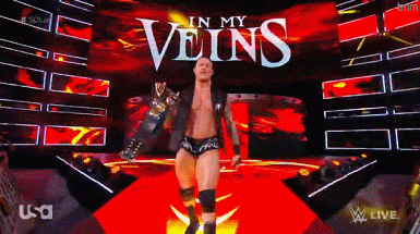 temomi: My champWWE SMACKDOWN 03/20/18