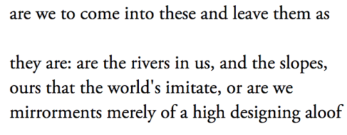 savagedefectives:an excerpt, a.r. ammons 