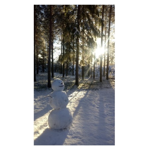 Sweet Winter...