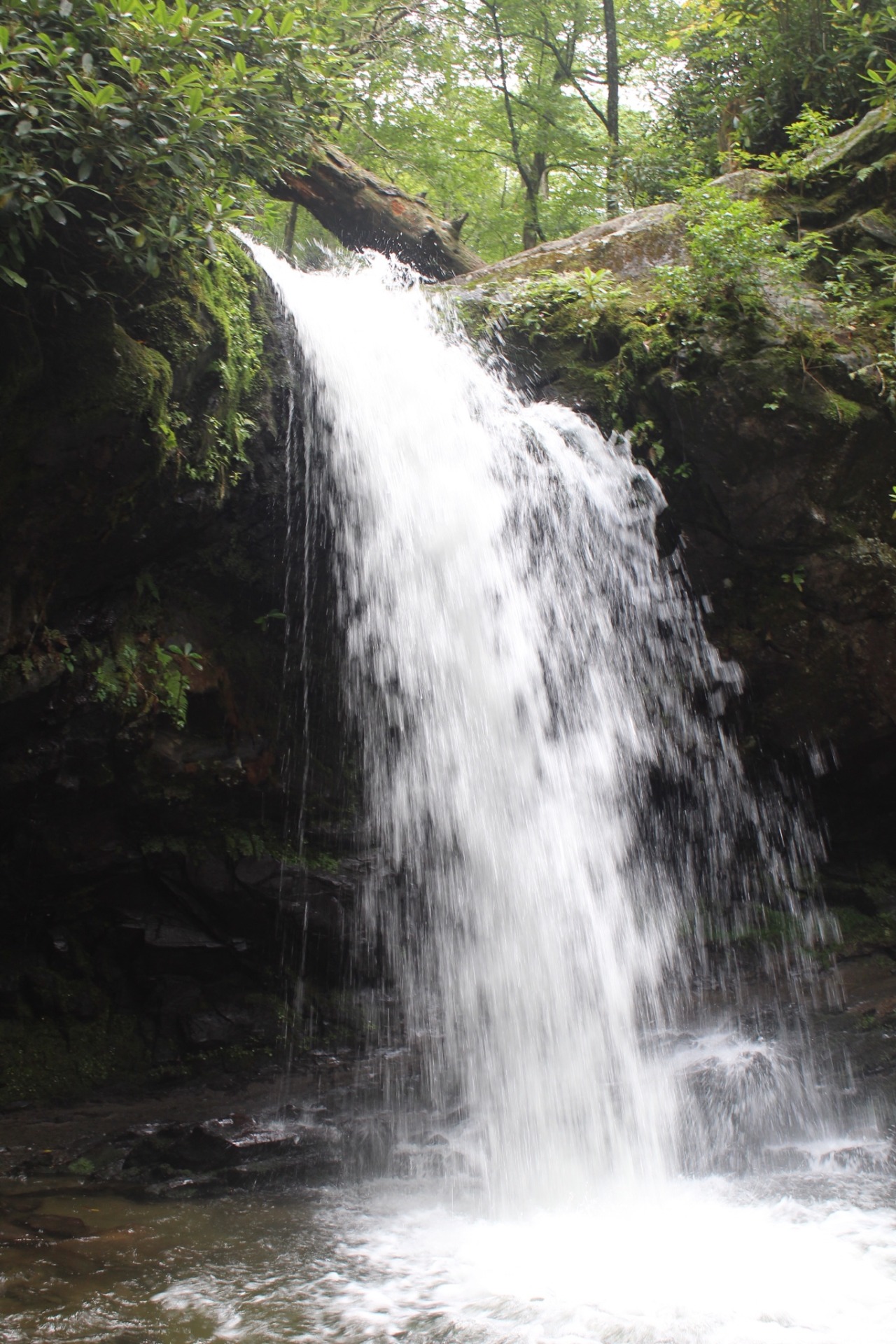 Sex Gratto Falls today in Tennessee with @katiiie-lynn pictures