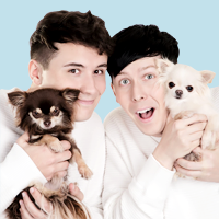 pseudophan:dan + phil + dogs icons because…..dan + phil + dogs [ -> more icons here <- ]