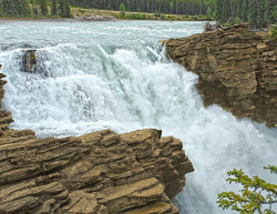 llbwwb:  Athabasca Falls2 (by JimBoots)