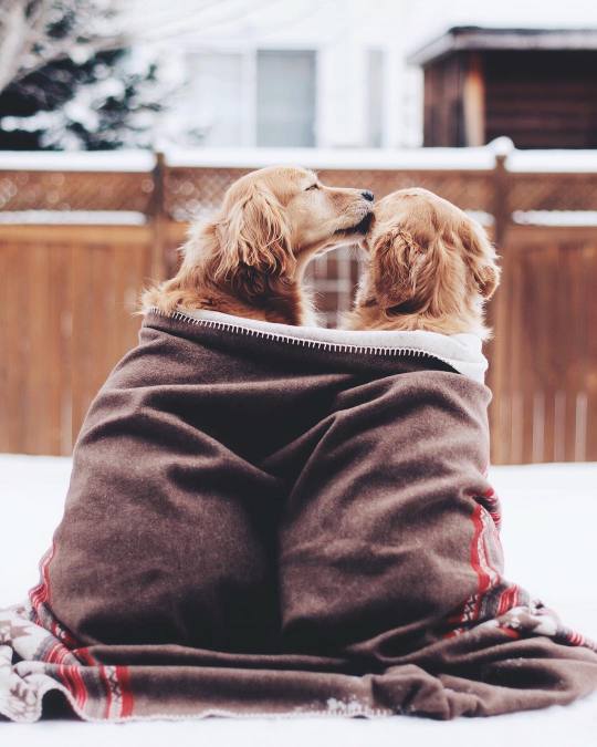A story of love and adventures.