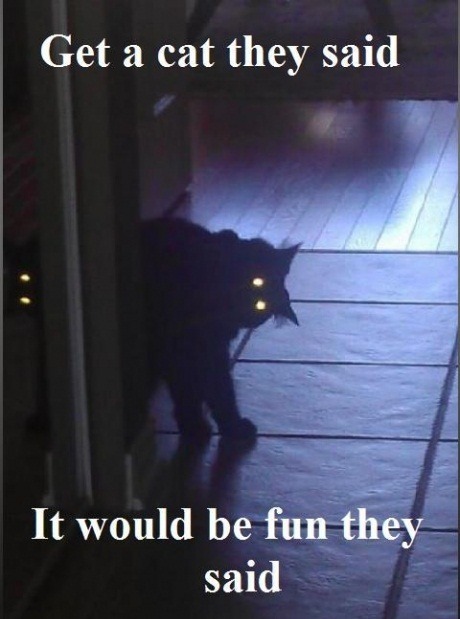 f-yeah-funny-place:  The do’s and do not’s in dating! This will make you get