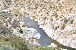 deepcreekhotsprings:  Hiking along the Pacific Crest Trail by Deep Creek hot springs 