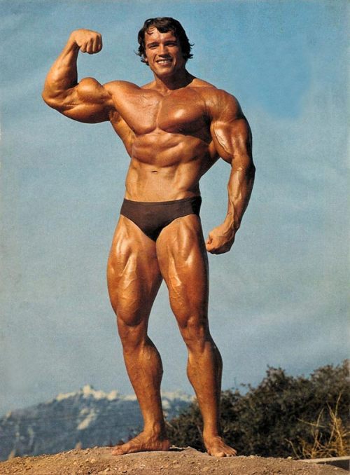 Arnold schwarzenegger