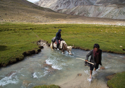  Tourist riding a yak crossing a river during a treck, Big pamir, Wakhan, Afghanistan.Taken on Augus