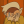 toocutetopay: akai-kaede:  nilesymon:  i wonder if magic is real, but only in a really