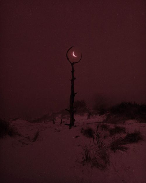 nonalimmen:© Nona Limmen Webshop /  Instagram