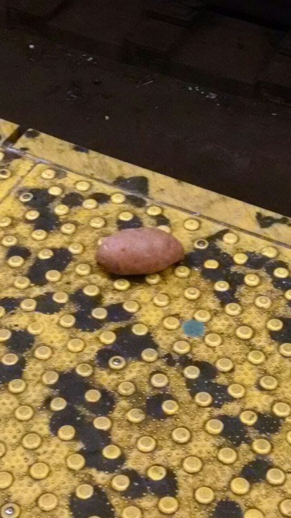 ferveurfemme:  note-a-bear:  Dear Queens, Why is there a sweet potato on the platform?  That’s just the traditional Queens subway sweet potato. 