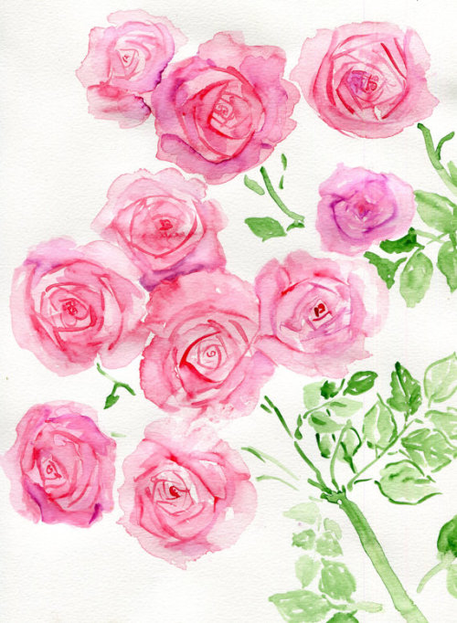 havekat: Funny FacesWatercolor On Paper9"x 12", 2016Pink Miniature Roses