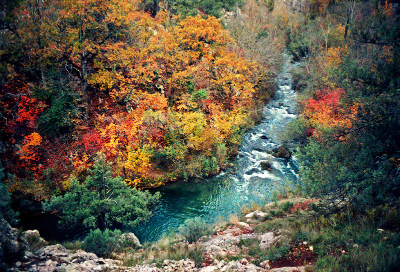 just-breezy:  untitled / Eugene Malyhanov 