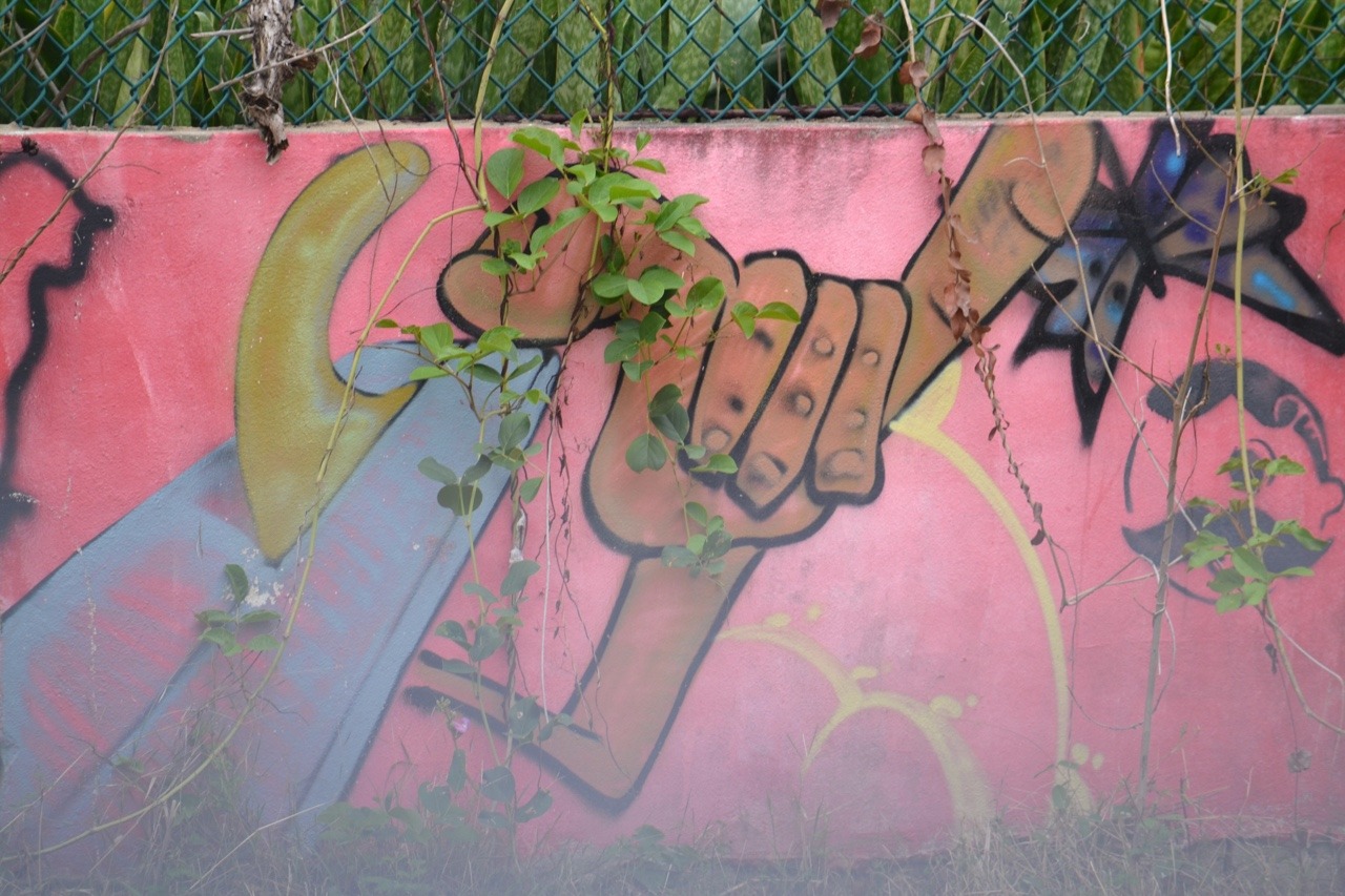 scubasess:  Puerto Rico