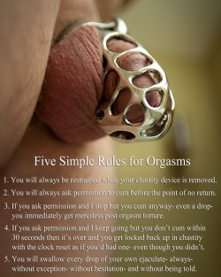 Miistresslola:  Five Simple Rules For Your Orgasms Faggot.  1. You Will Always Be