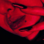 xomxixryax