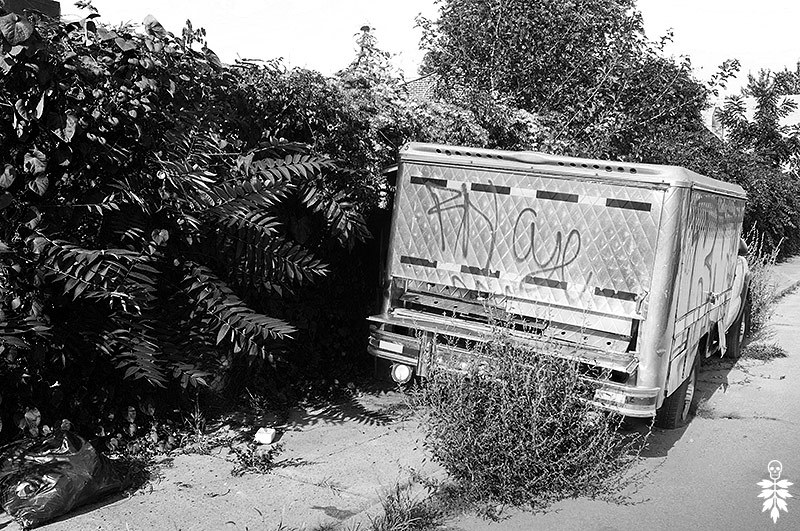 A Tree-of-Heaven and other street weeds slowly encroach on a ditched food truck at the edge of Fishtown, Philadelphia.