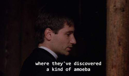 xfilesbaby:bigbardafree:scully deals with so much let her restOh, amoeba