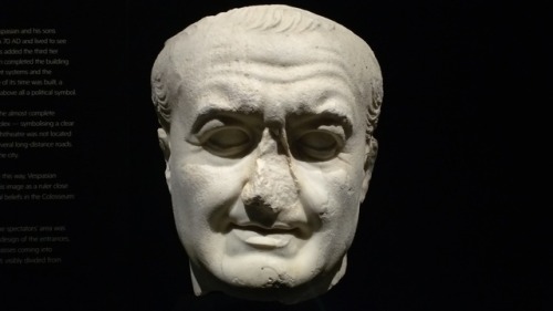 Marble head of Vespasian, who commissioned the Colloseum, and two unknown Romans. My pictures from t