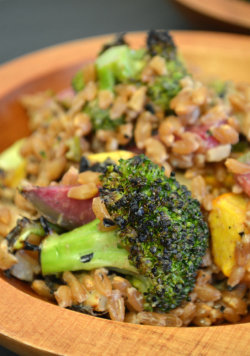 foodffs:  Farro and Grilled Vegetable Salad Really nice recipes. Every hour.   