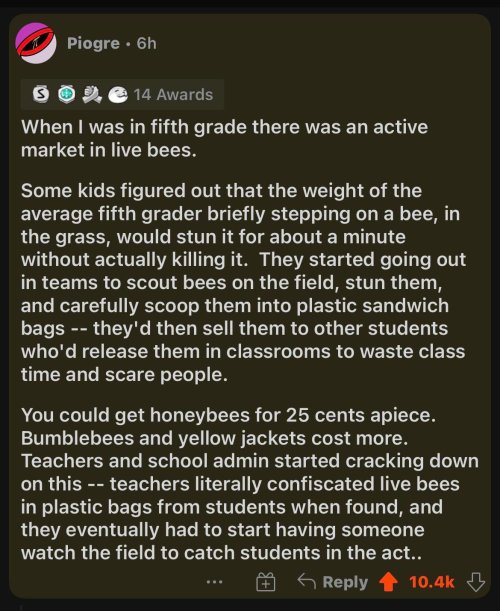 #shitpost#insects cw#ah yes #the black (and yellow striped) market