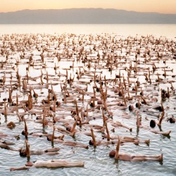 spencertunick:  Donate to Sacred Stone Camp: