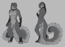 deyvarah:  Anthro refsheet WIP  :3Behold the fluff!