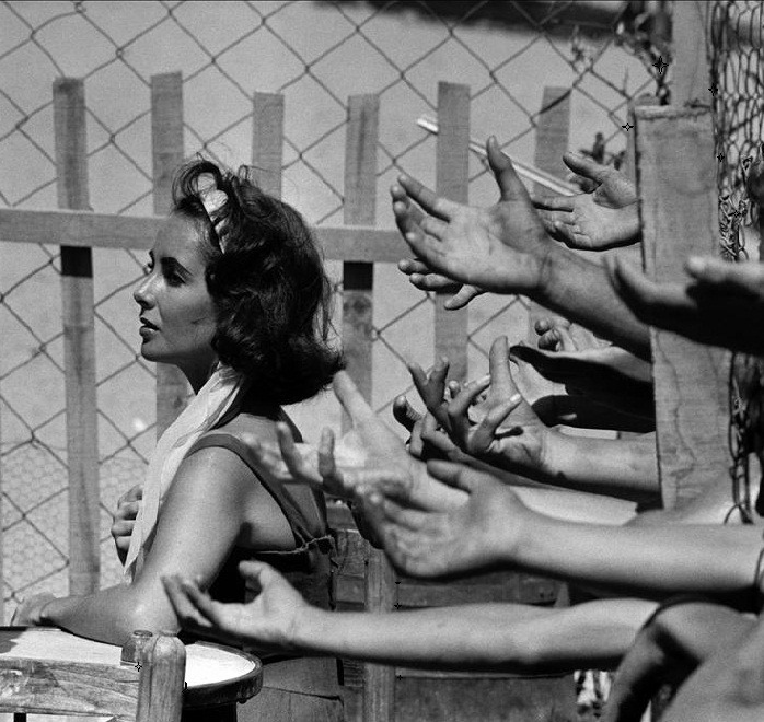 Suddenly, Last Summer (Improvvisamente l'estate scorsa), Joseph L. Mankiewicz (1959)Based