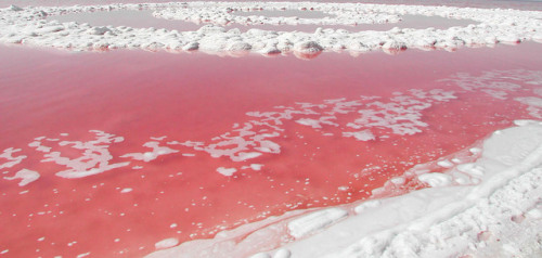 boudhabar:Great Salt Lake