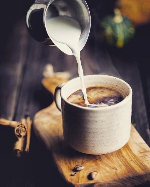 Come here you big beautiful cup of coffee!(via #dogaladres instagram)