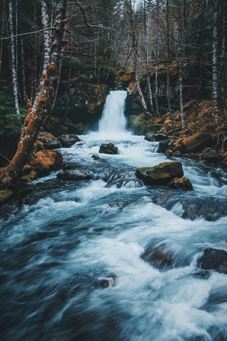 lsleofskye:  Untitled 