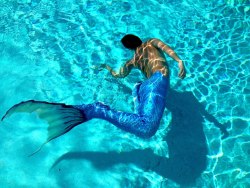 mermaids-and-anchors:  FlipTails