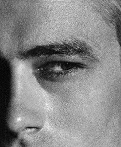 babeimgonnaleaveu:  James Dean, 1954. (Detail)