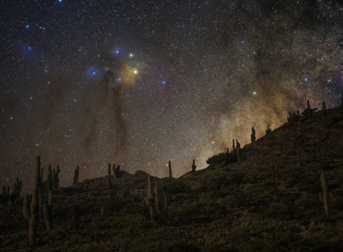 just–space:Deepscape at Yacoraite : In this evocative night scene a dusty central Milky Way ri