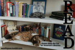 copperbadge: hellenhighwater:  copperbadge:  I didn’t want to spam the OP of the other post any more than necessary, so here, enjoy some of the newest Cats For America’s Libraries!  @aemiliajane, @aedensolus, @ivy-n-ash, @nonolemog, I hope you like