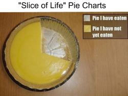 wwinterweb:  Slice of Life Pie Charts (see 12 more) 