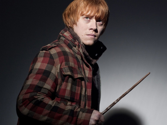 Harry Potter Characters As Dogs