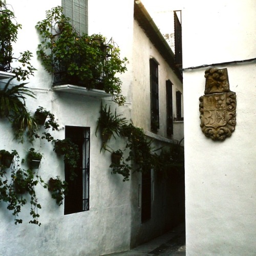 Callejón, Judería, Córdoba, 1986.