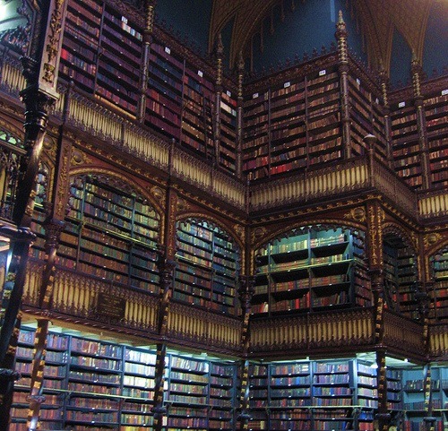 vielynne:  laurenbeukes:  Libraryporn love theremina:     Jfc I can’t not have this on my blog Seriously any of these would be my personal paradise.