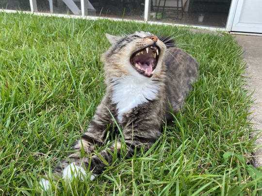 prguitarman:catasters: