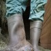 bauernsau97: